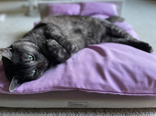 CatsEssentials Joins the World Stage as Featured Exhibitor during CatCon 2022