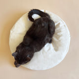 Fluffy Cat Bed Pillow
