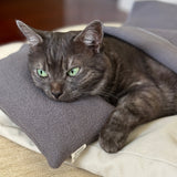 Organic Sherpa Pillow