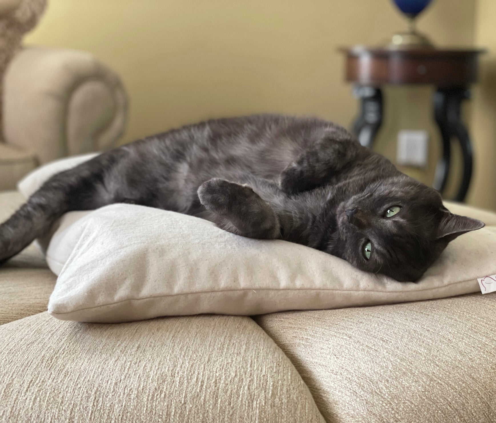 Cat Bed Pillow