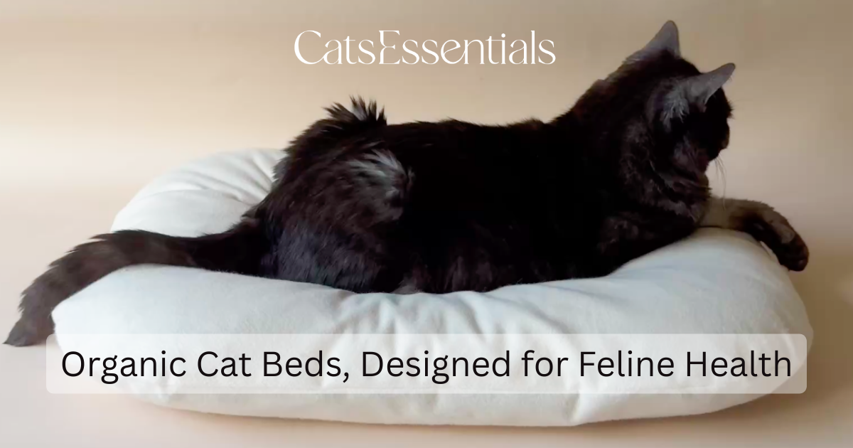 Organic & Non-Toxic Cat Beds | CatsEssentials
– CatsEssentials