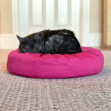 Pouf - Bouncy Cat Bean Bag