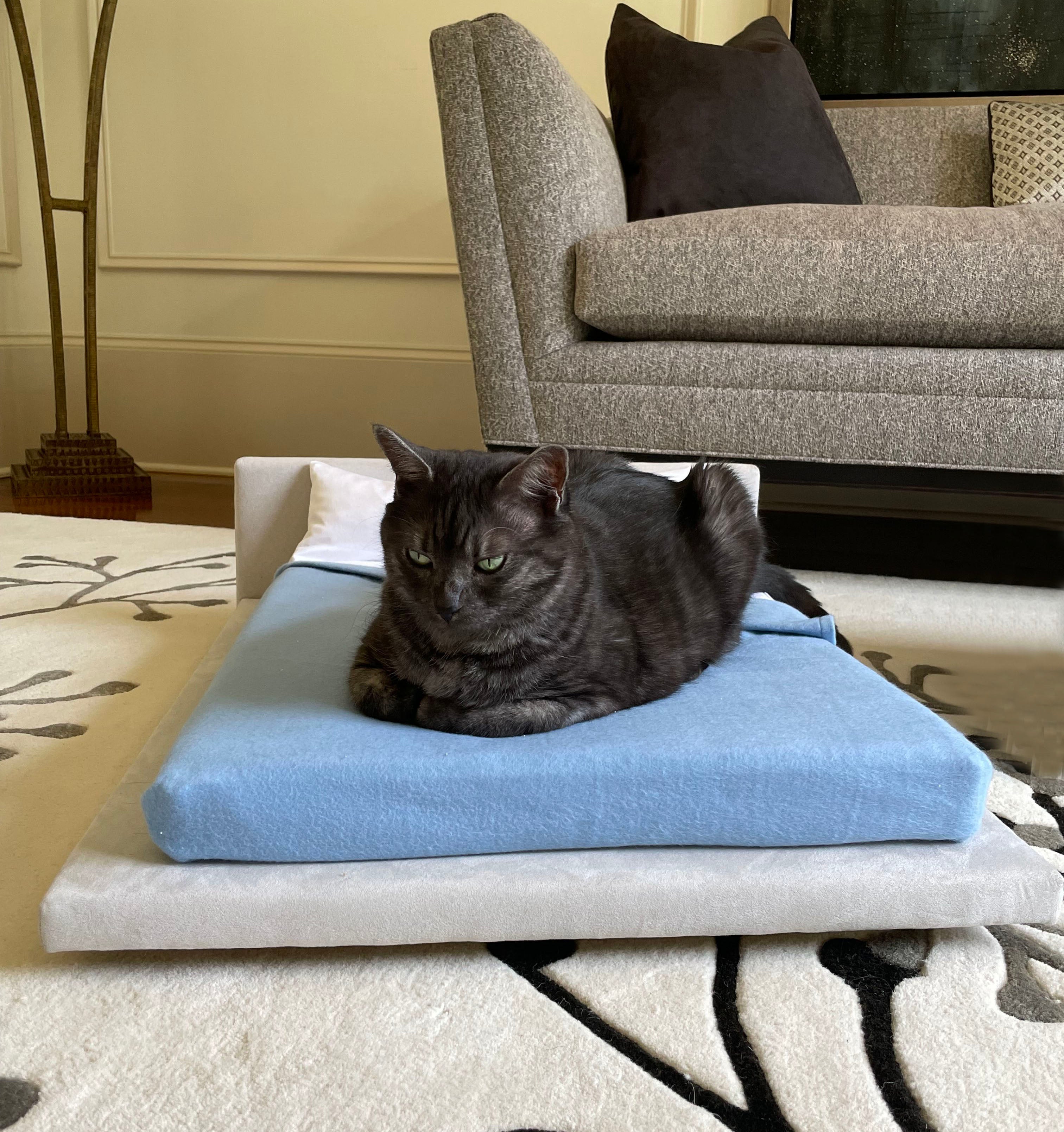 Organic Cat Blankets  CatsEssentials – CatsEssentials