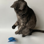 fish toy for cats
