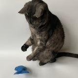 fish toy for cats