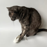 CatPlayingWithMouseCatToy