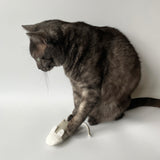 CatPlayingWithMouseCatToy