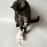 Cat and MouseCatToy