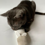 cat toys mice