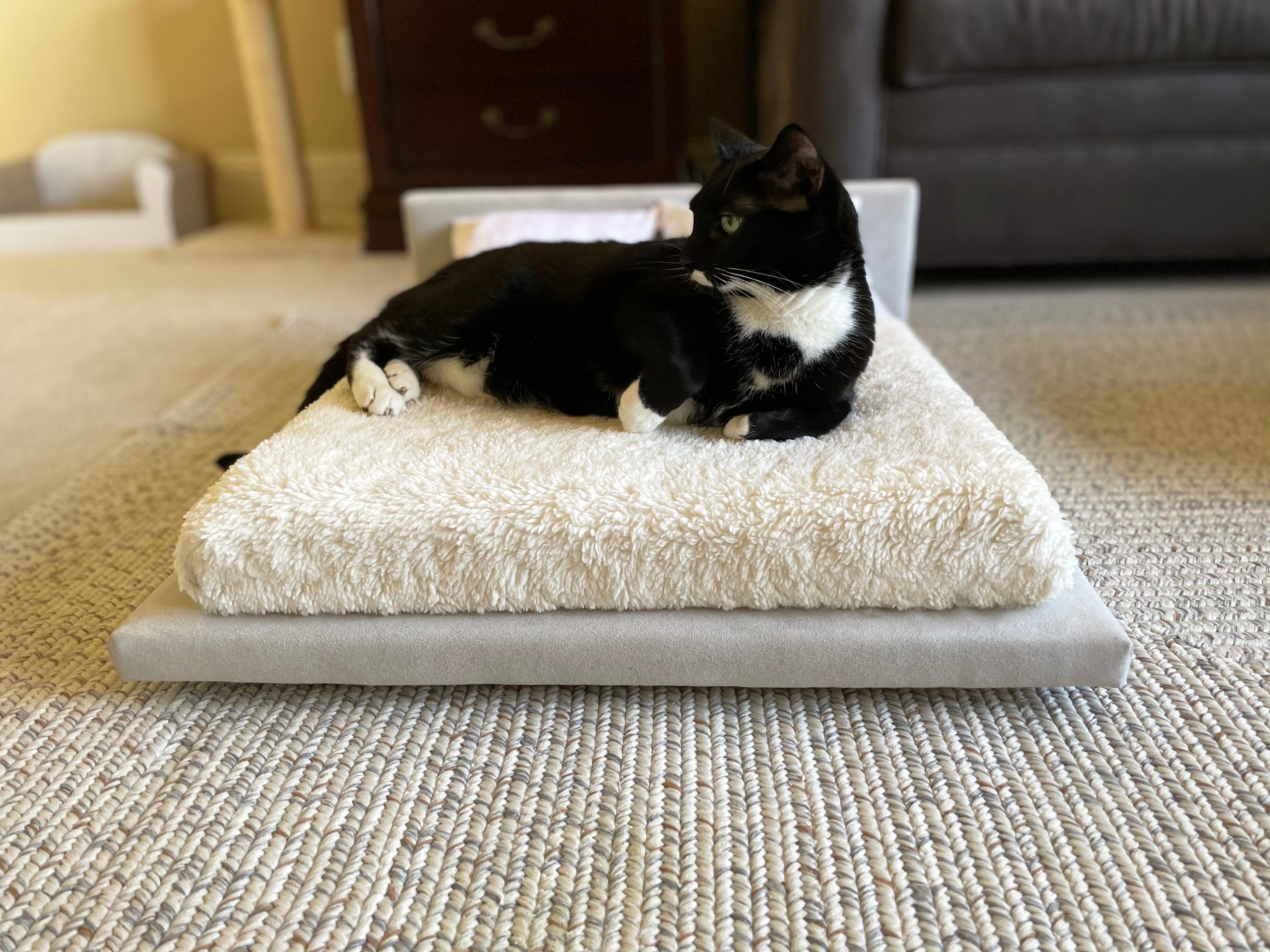 The Best Cat Bed for Your Pet’s Health