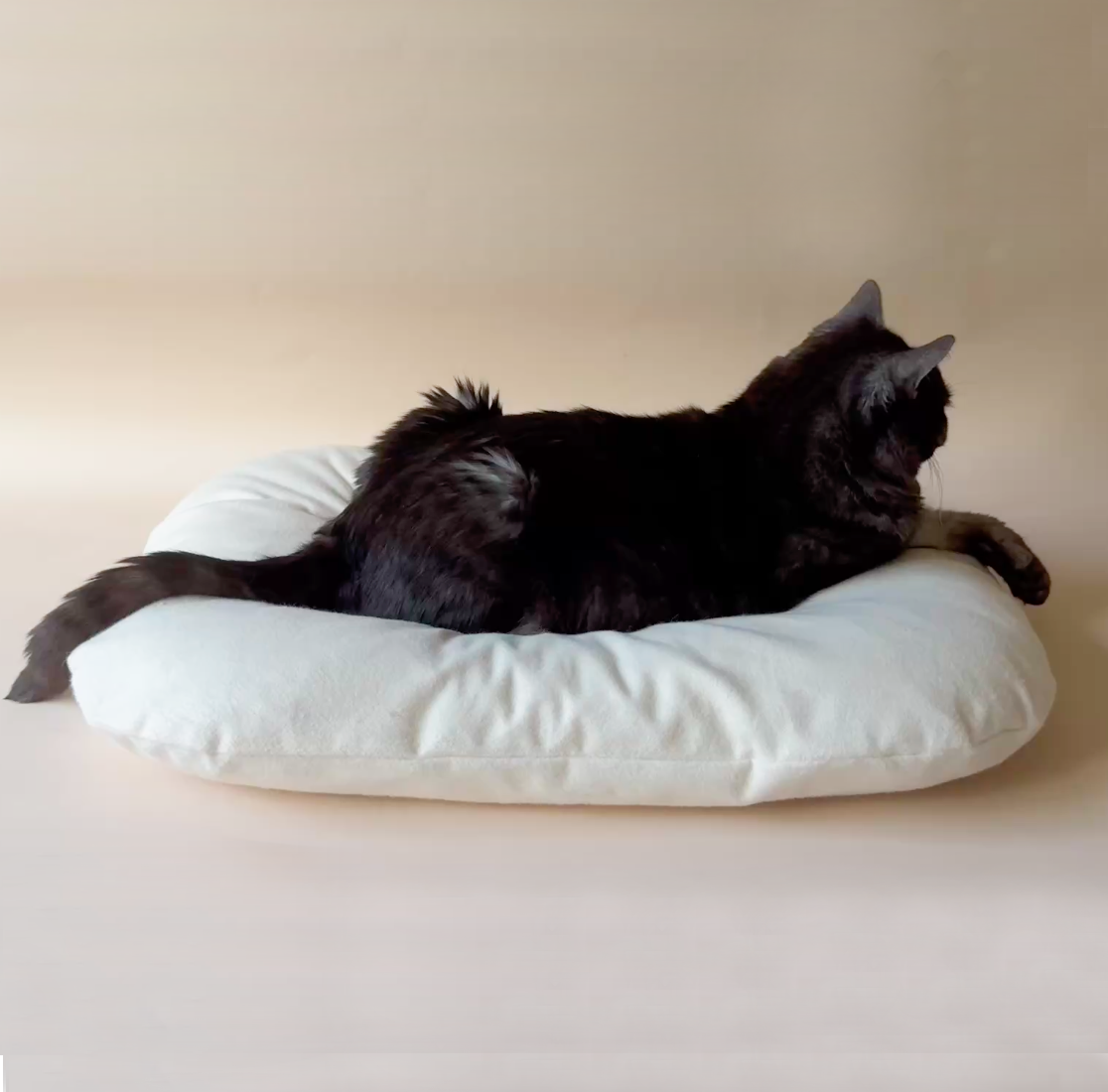 Cat resting on supportive orthopedic bed designed to relieve joint pressure