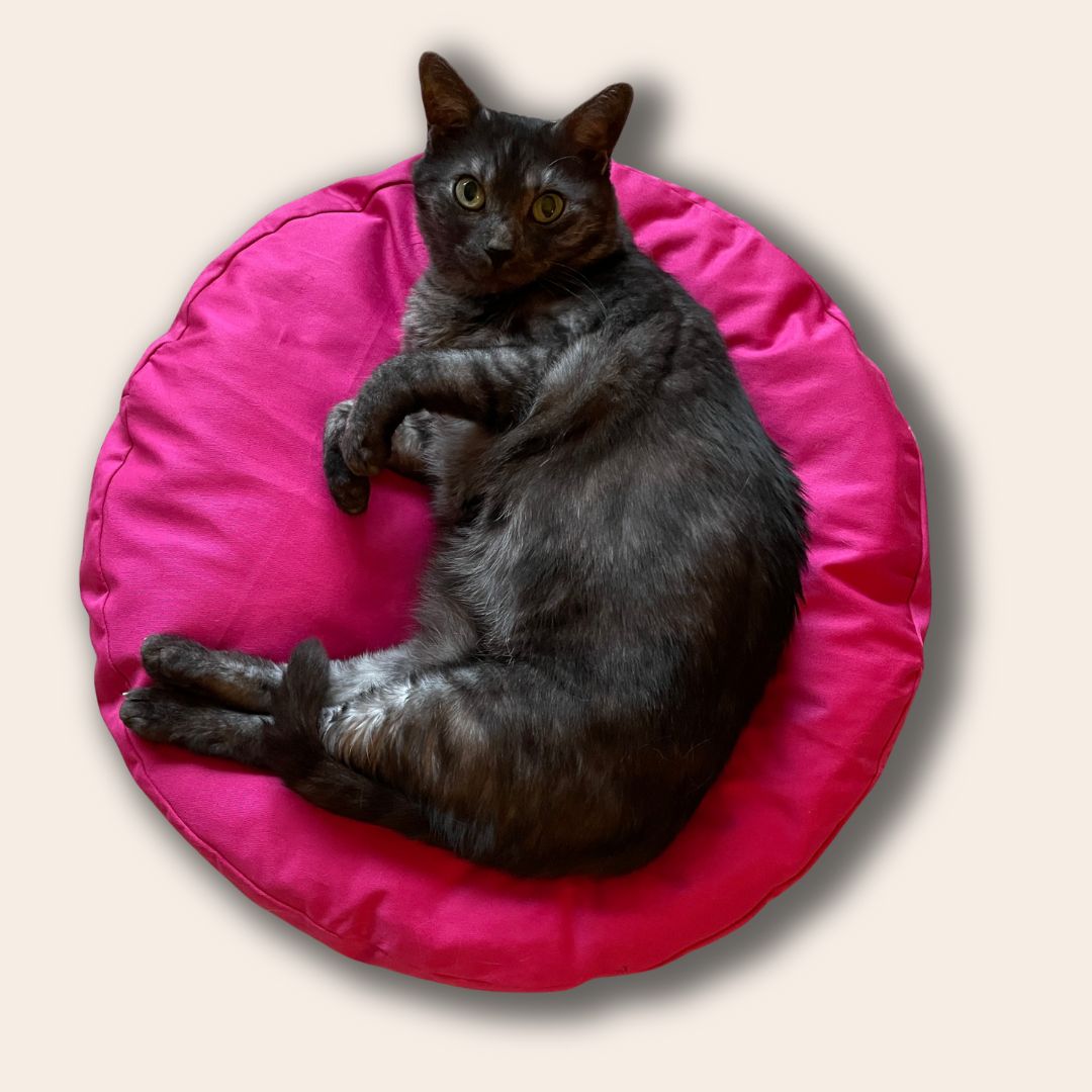 Fluffy Cat Bed