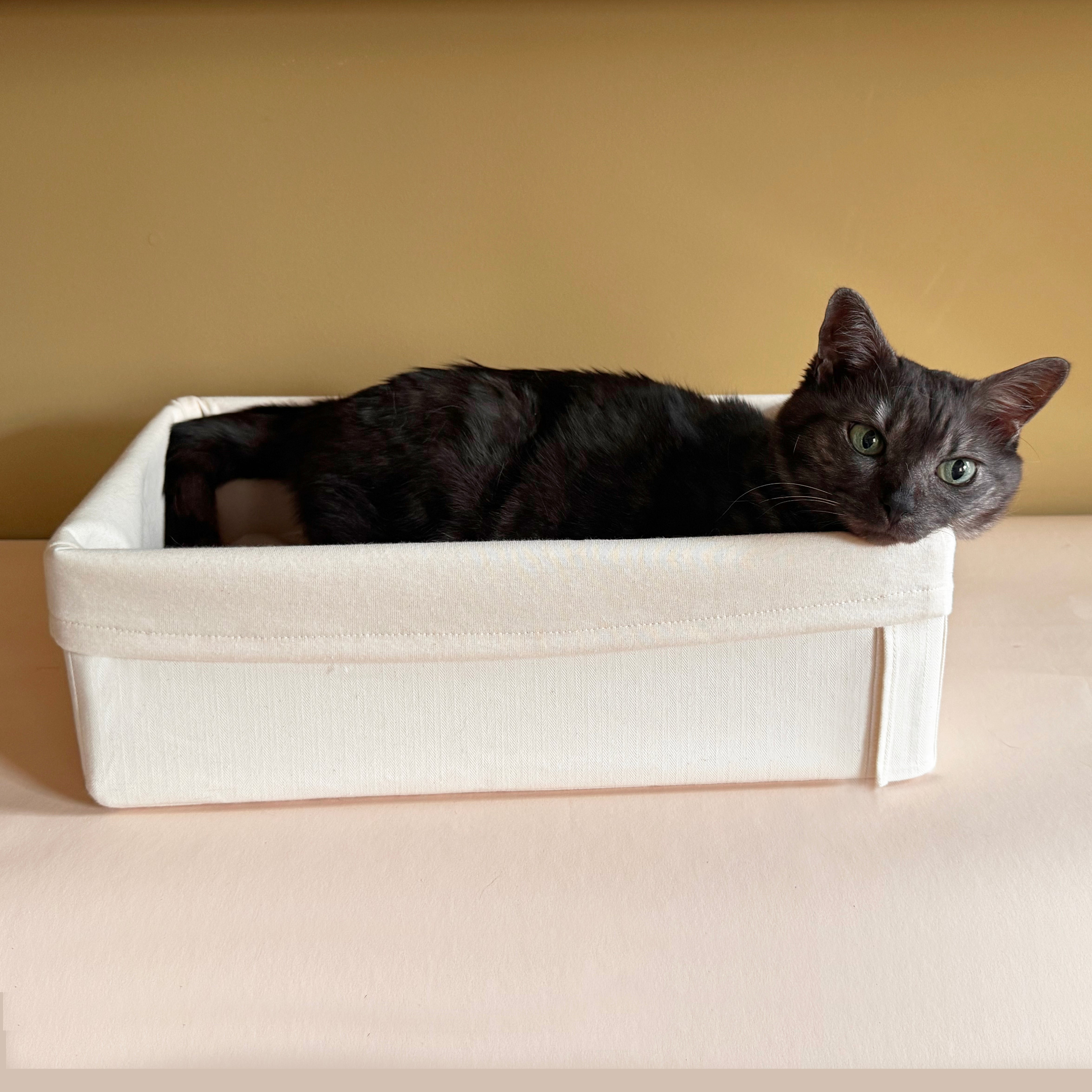 Cat In travel cat bed