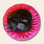 Organic Cat Bean Bag