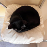 Cubo - Cat Cube Pillow
