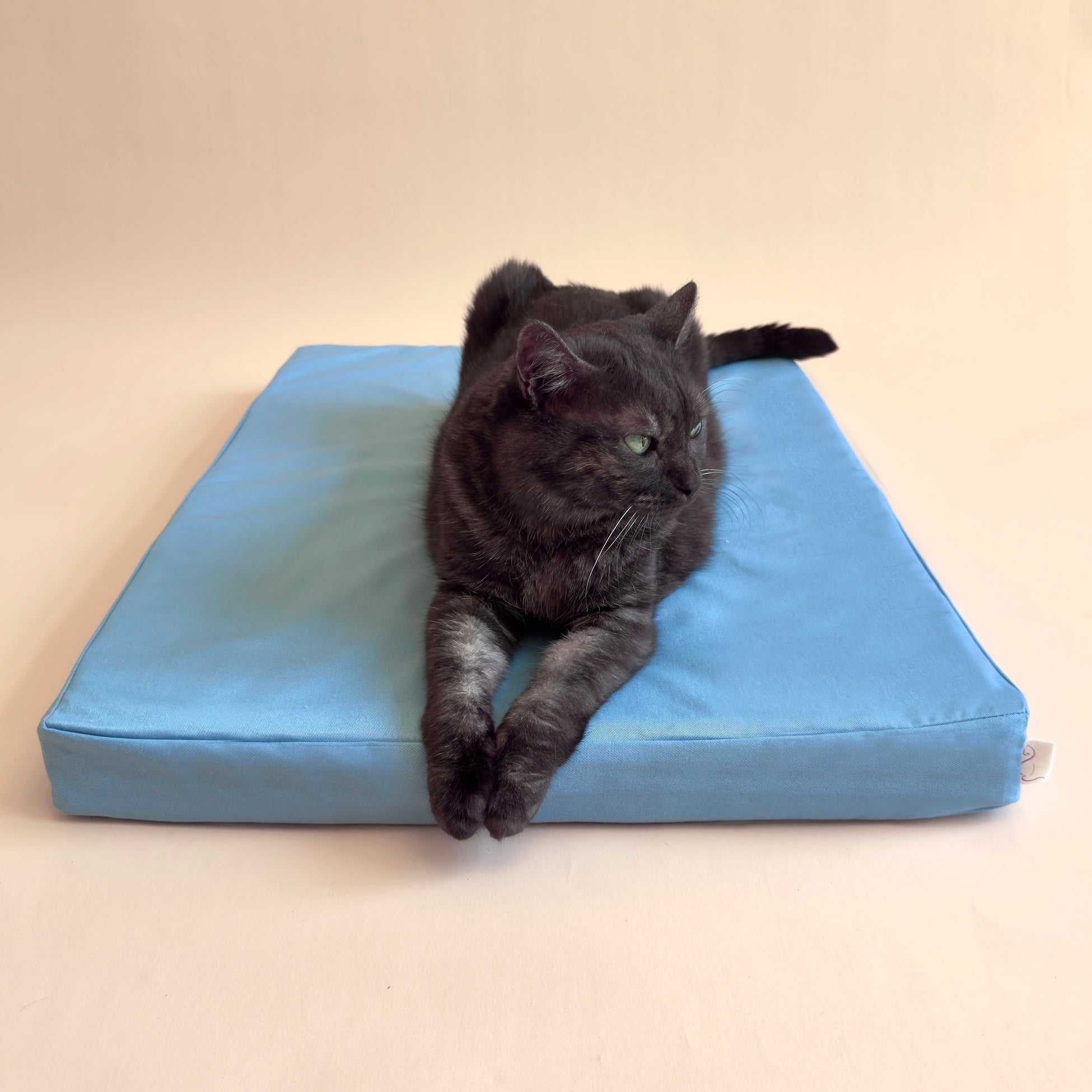 Orthopedic Organic Cat Mattress - Rectangular – CatsEssentials