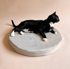 Orthopedic Cat Bed