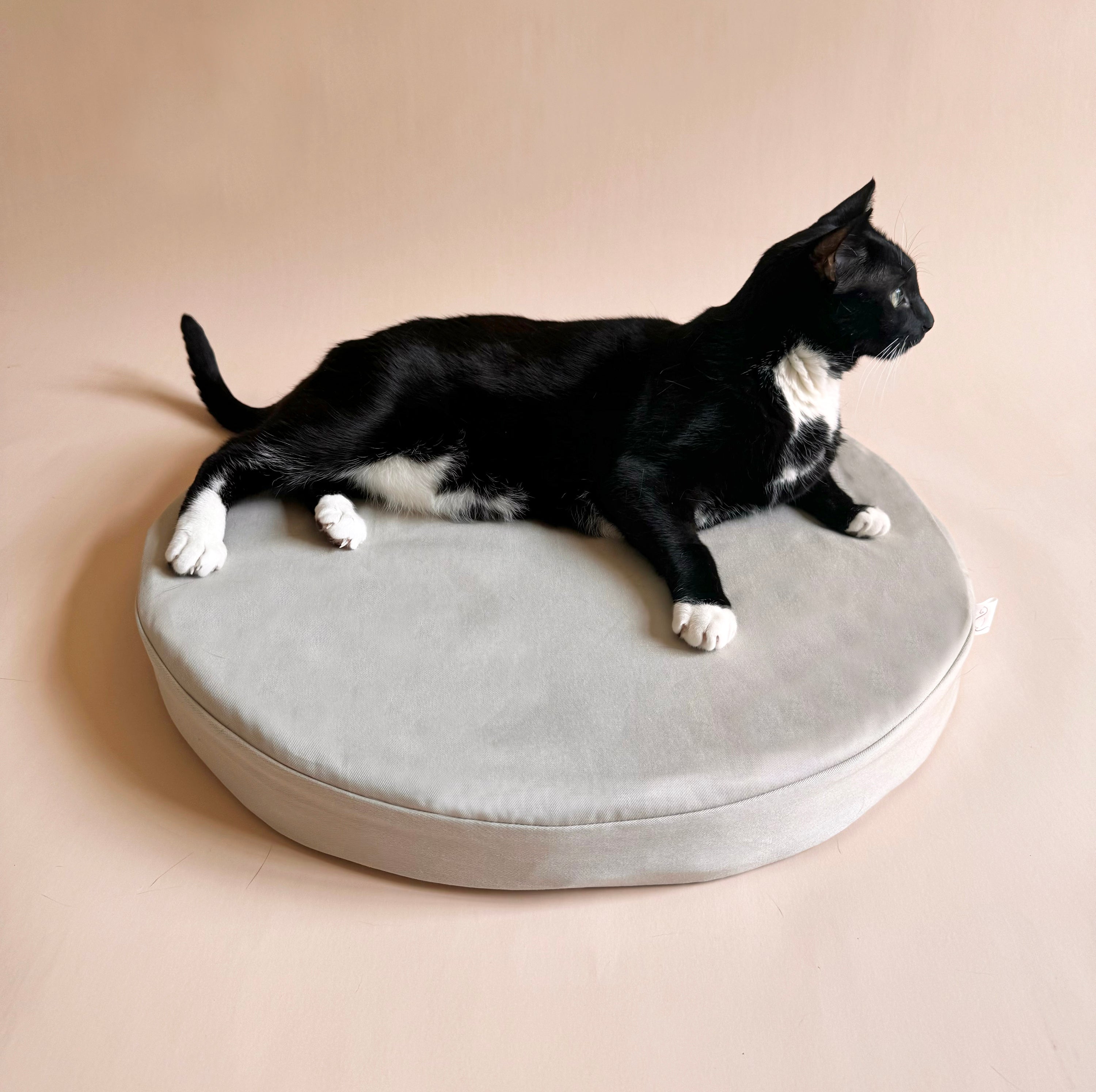Orthopedic Cat Bed