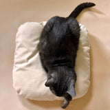 Cubo - Cat Cube Pillow