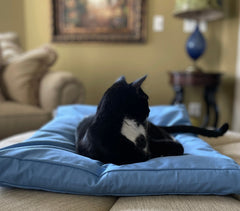 Plush Cat Bed Pillow