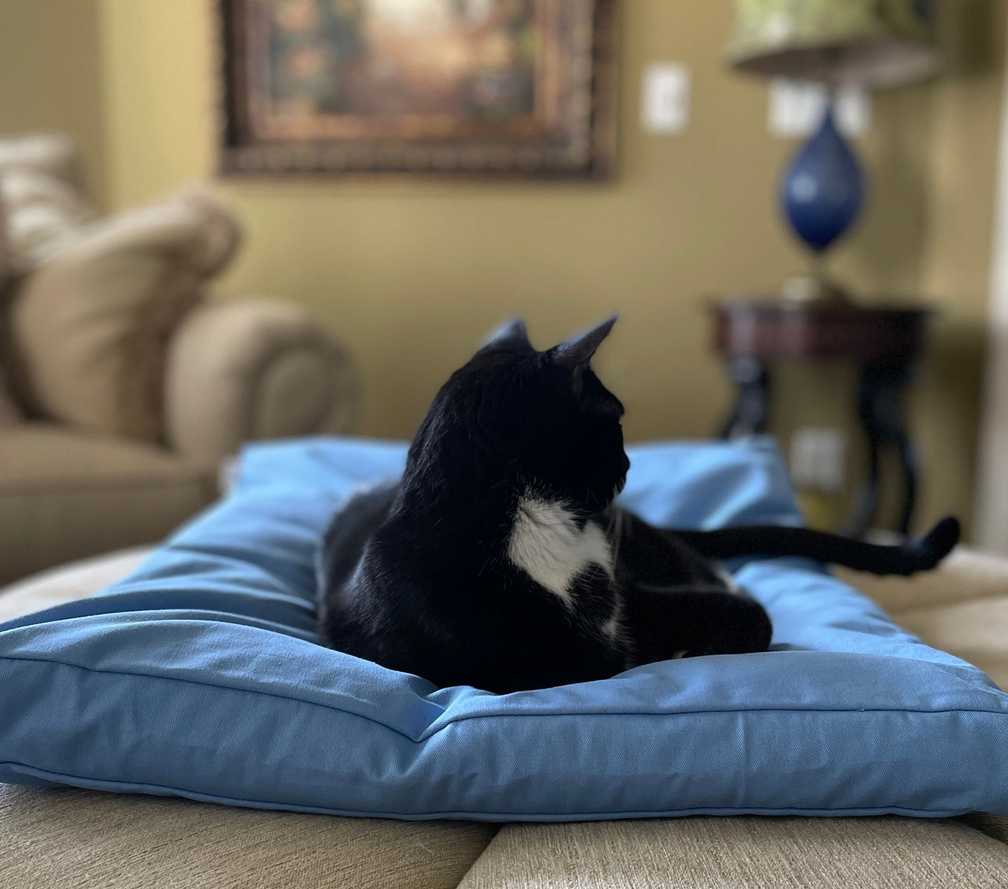 Plush Cat Bed Pillow