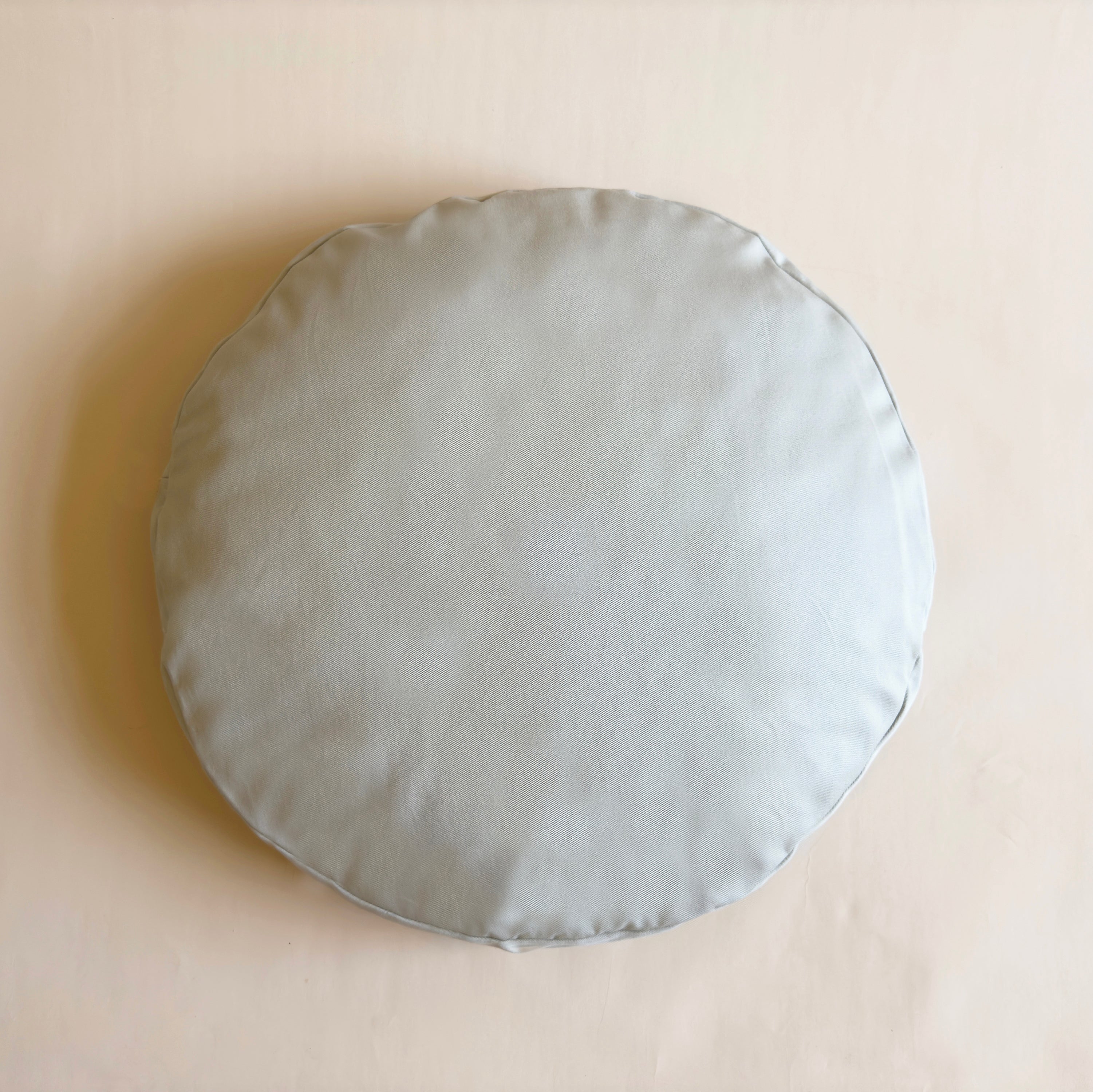 Fluffy Cat Pillow