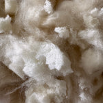 Kapok_Latex_Blend