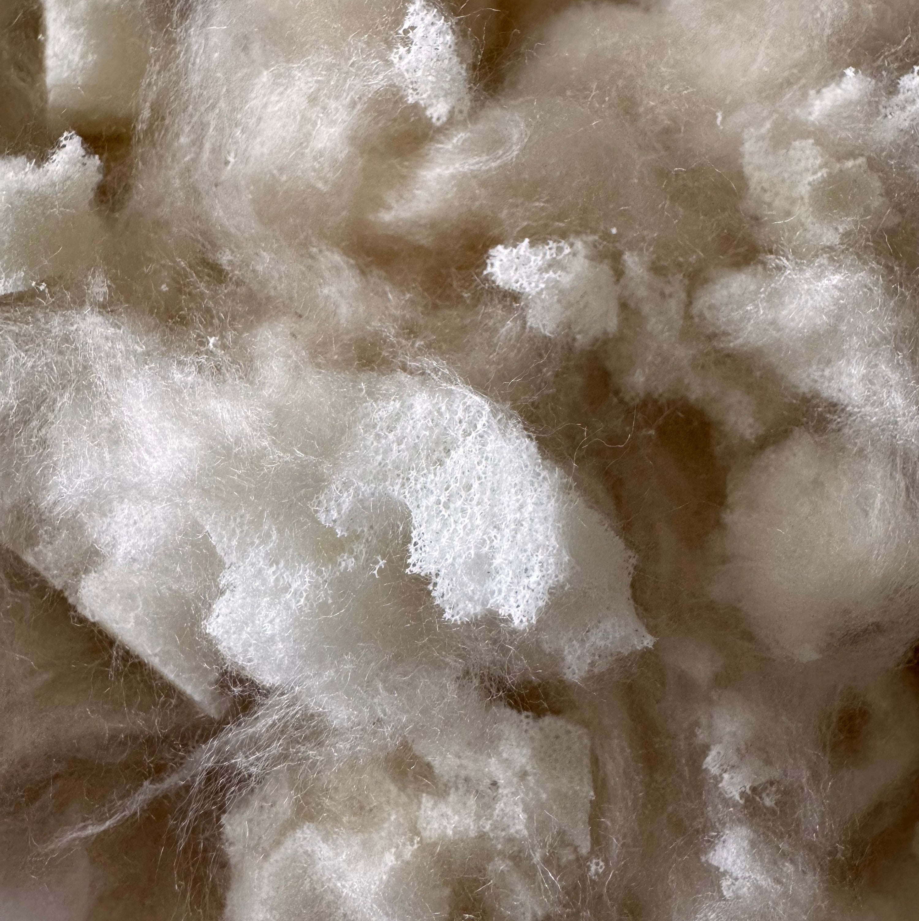 Kapok_Latex_Blend