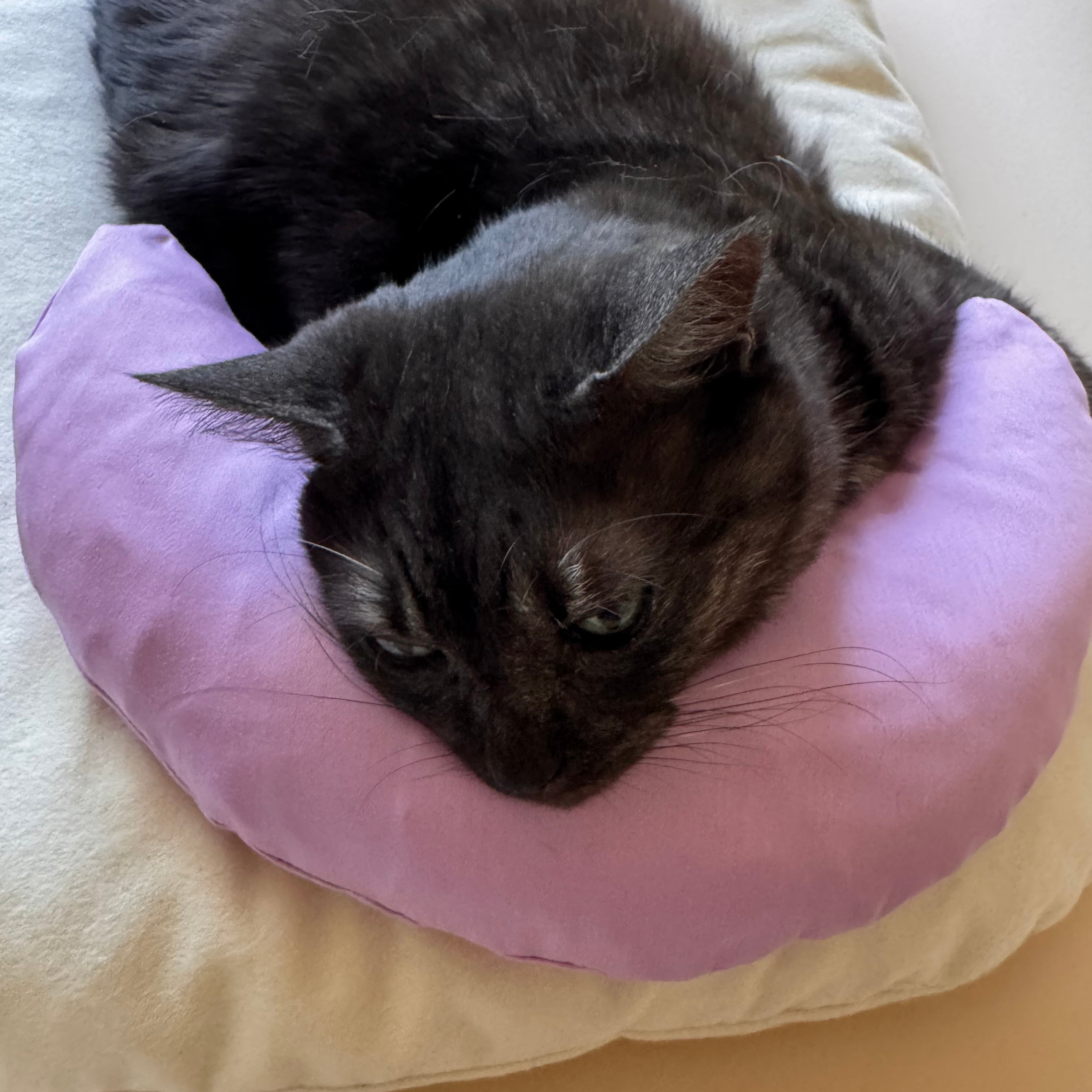 Half Moon Cat Pillow
