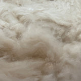 Natural Kapok Filler