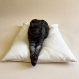 Cat Bed Pillow