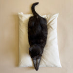 Organic Cat Bed Pillow