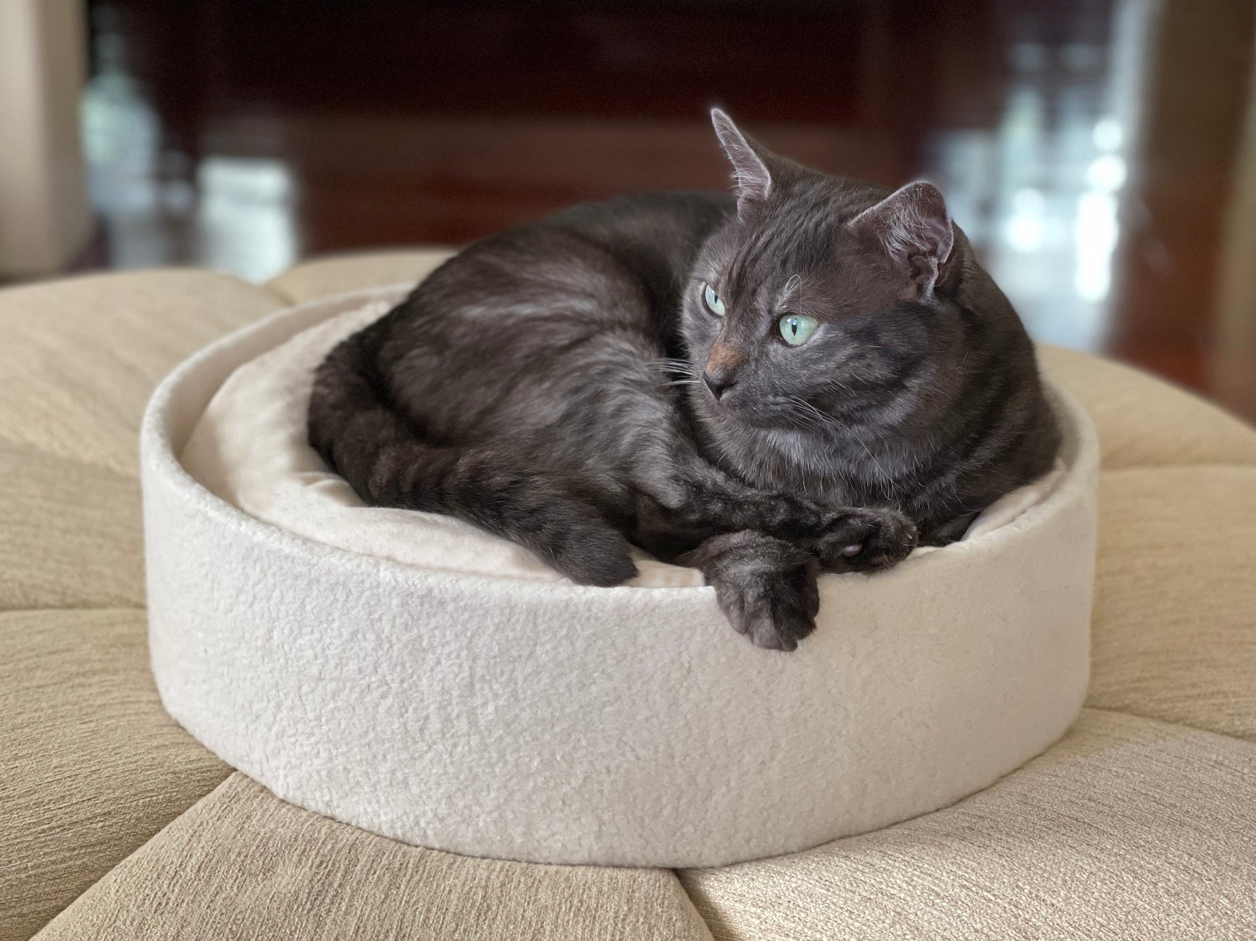 Nido Cat Bed