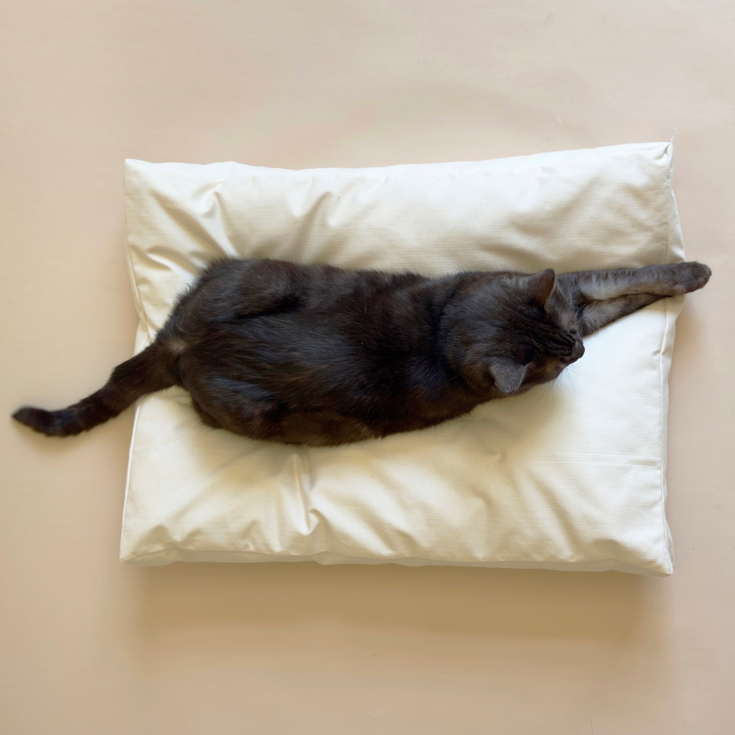 Organic Cat Bed Pillow