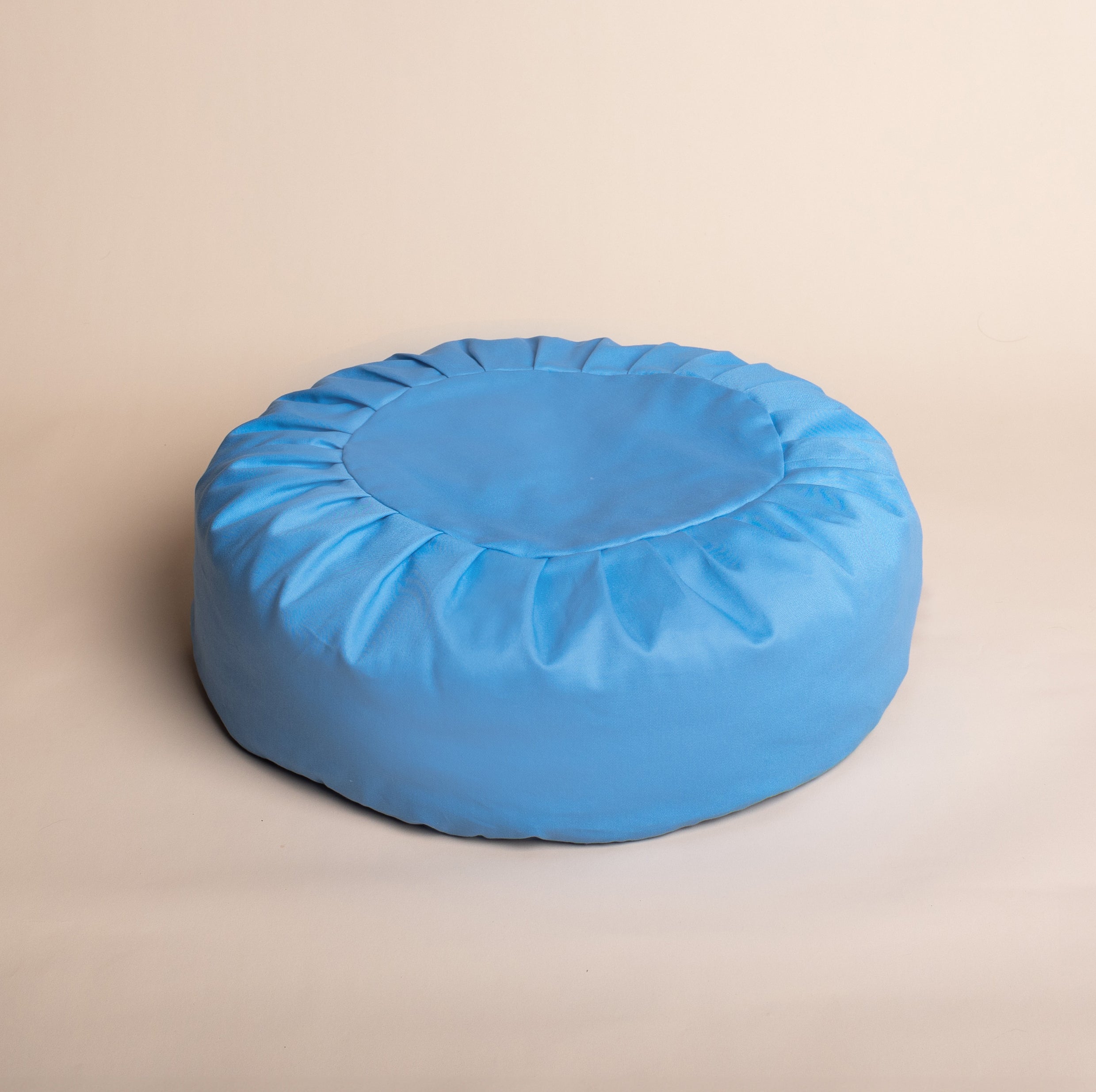 Organic Cat Bean Bag