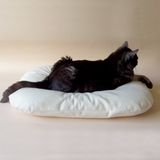 Riposo Cat Longer