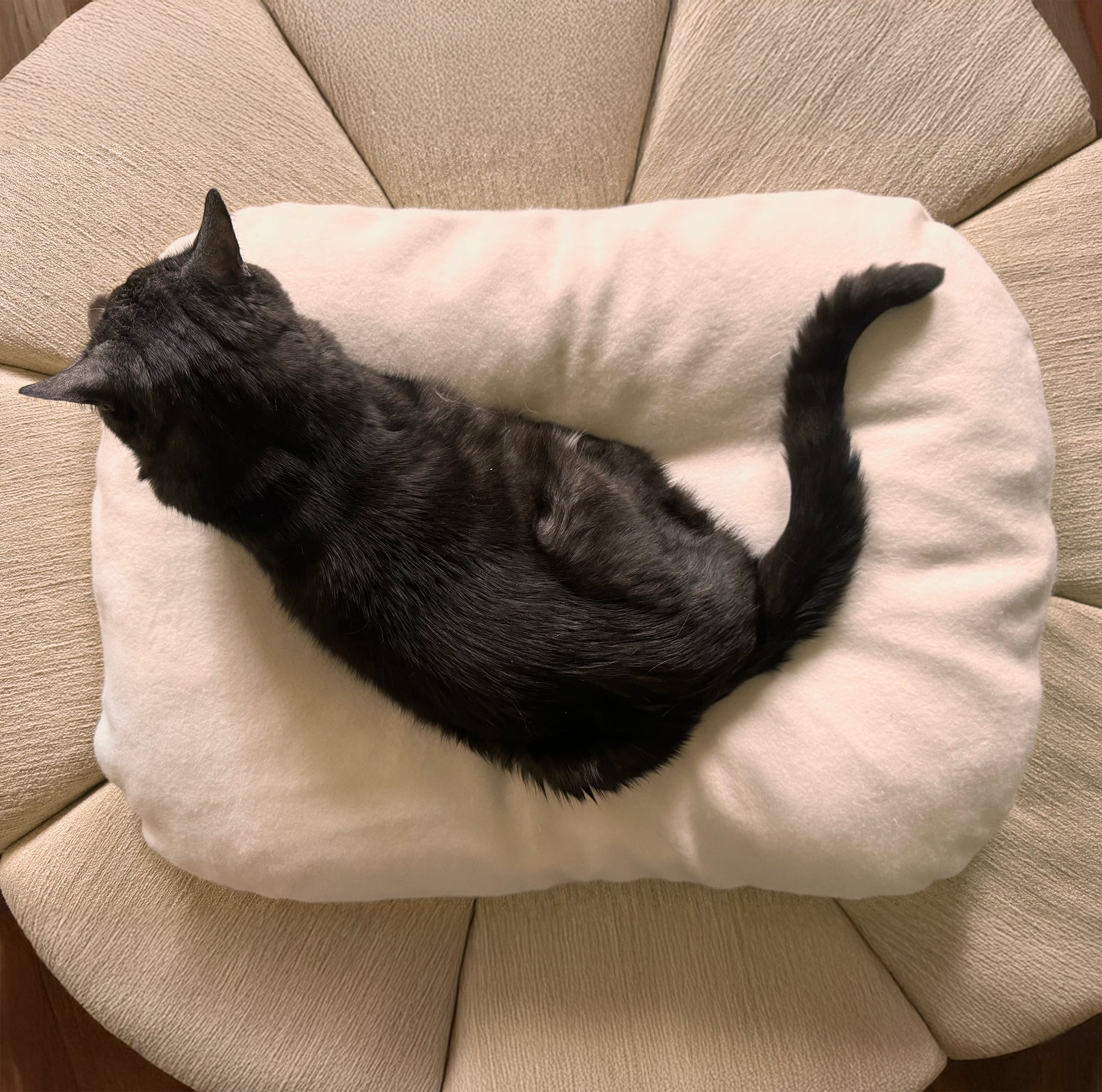 Riposo in Plush Fleece