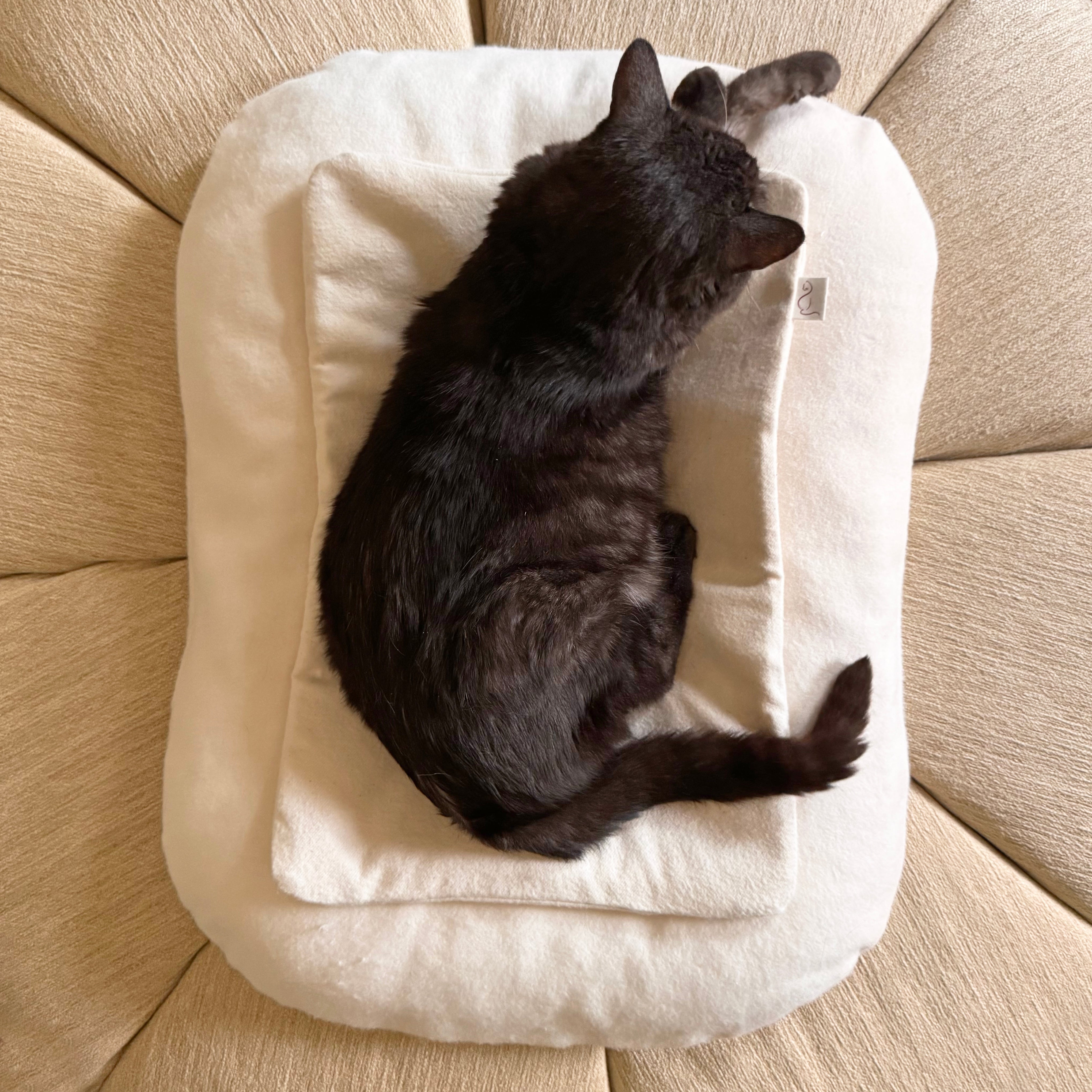 Self Warming Cat Pad on Bed