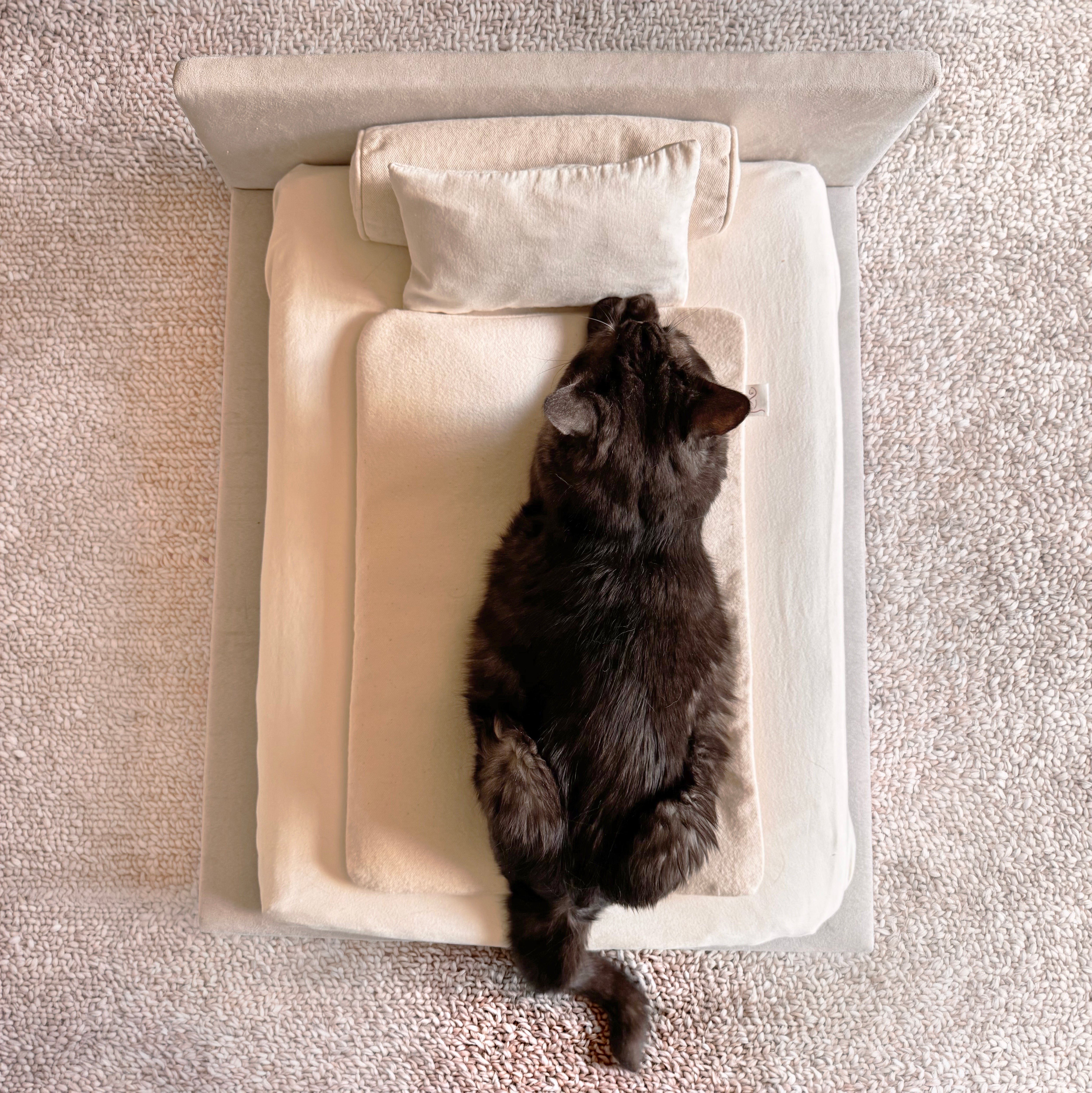 Self-warming cat bed pad 