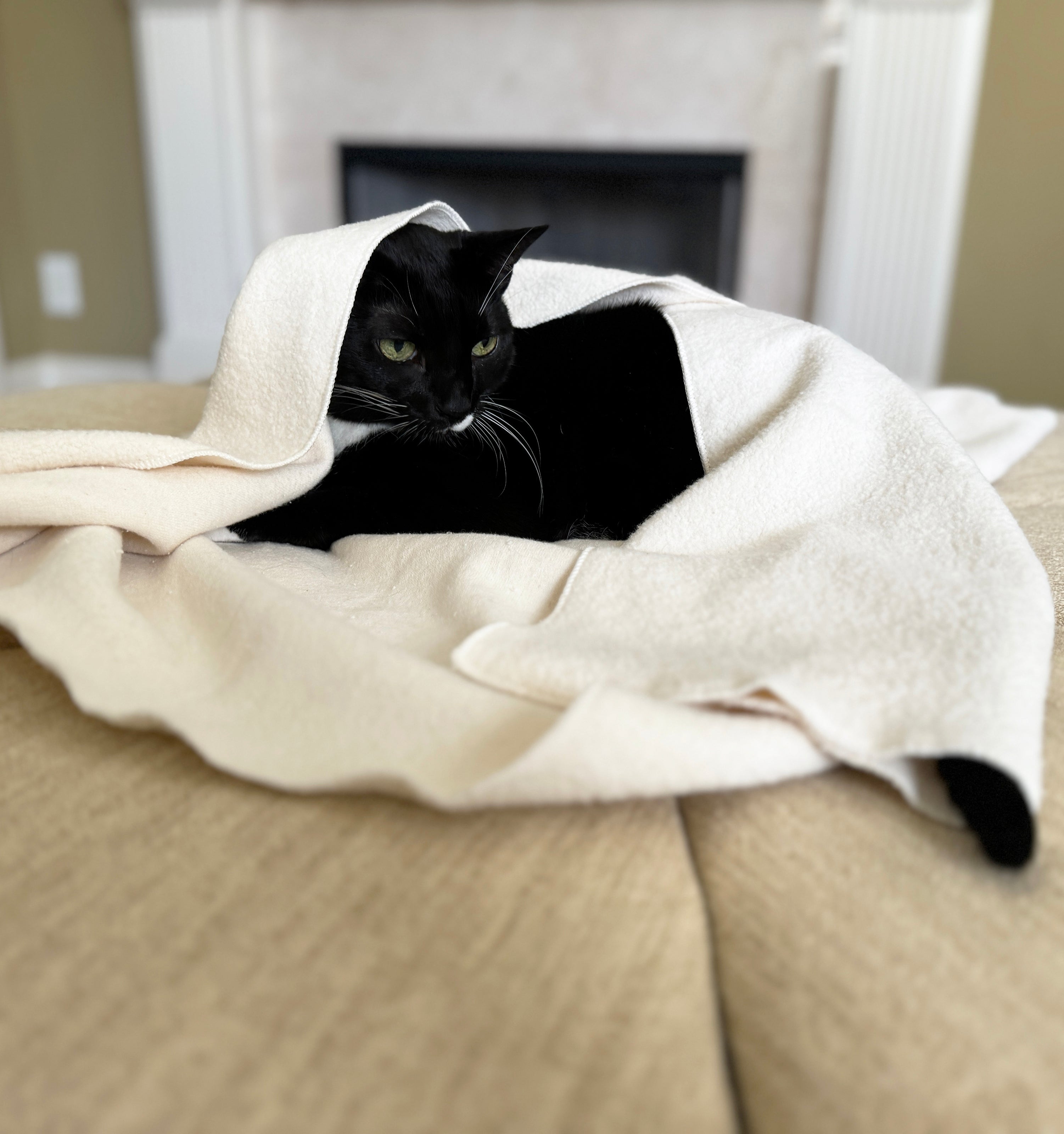 XL Cat Blanket