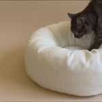Donut cat bed