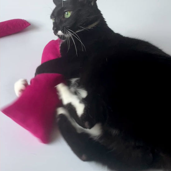 Kicker Cat Toy