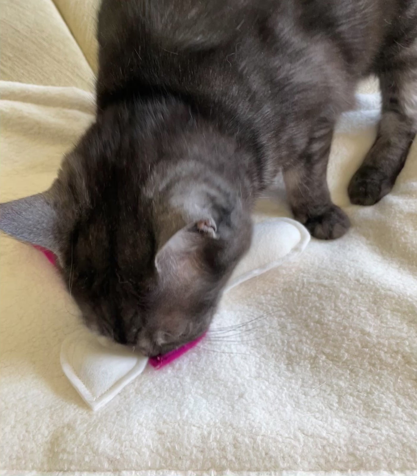 Catnip Toys Heart