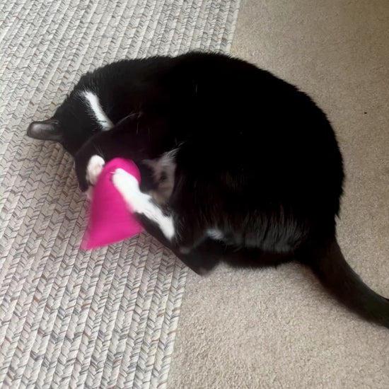 Cat Kicker Toy