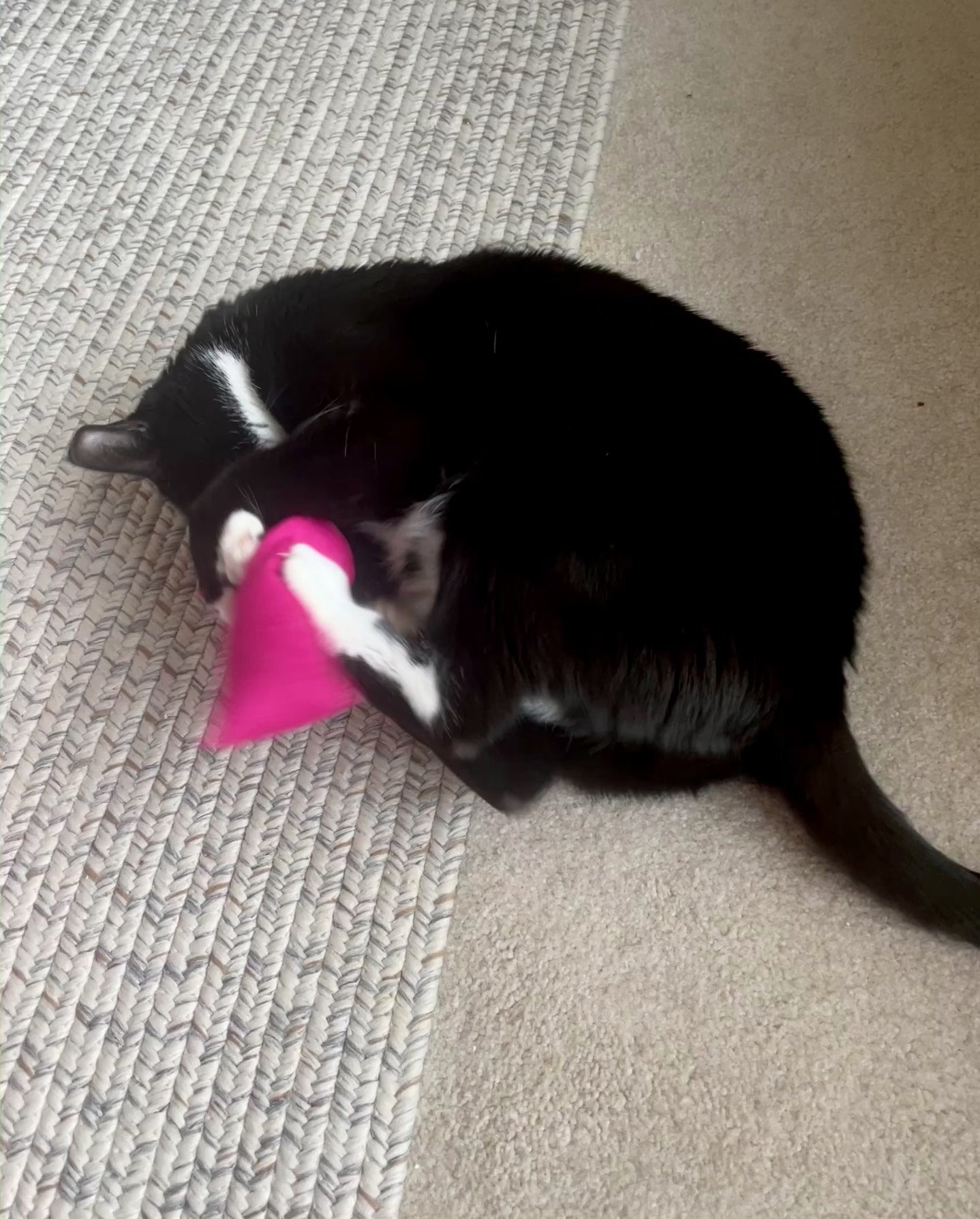 Cat Kicker Toy