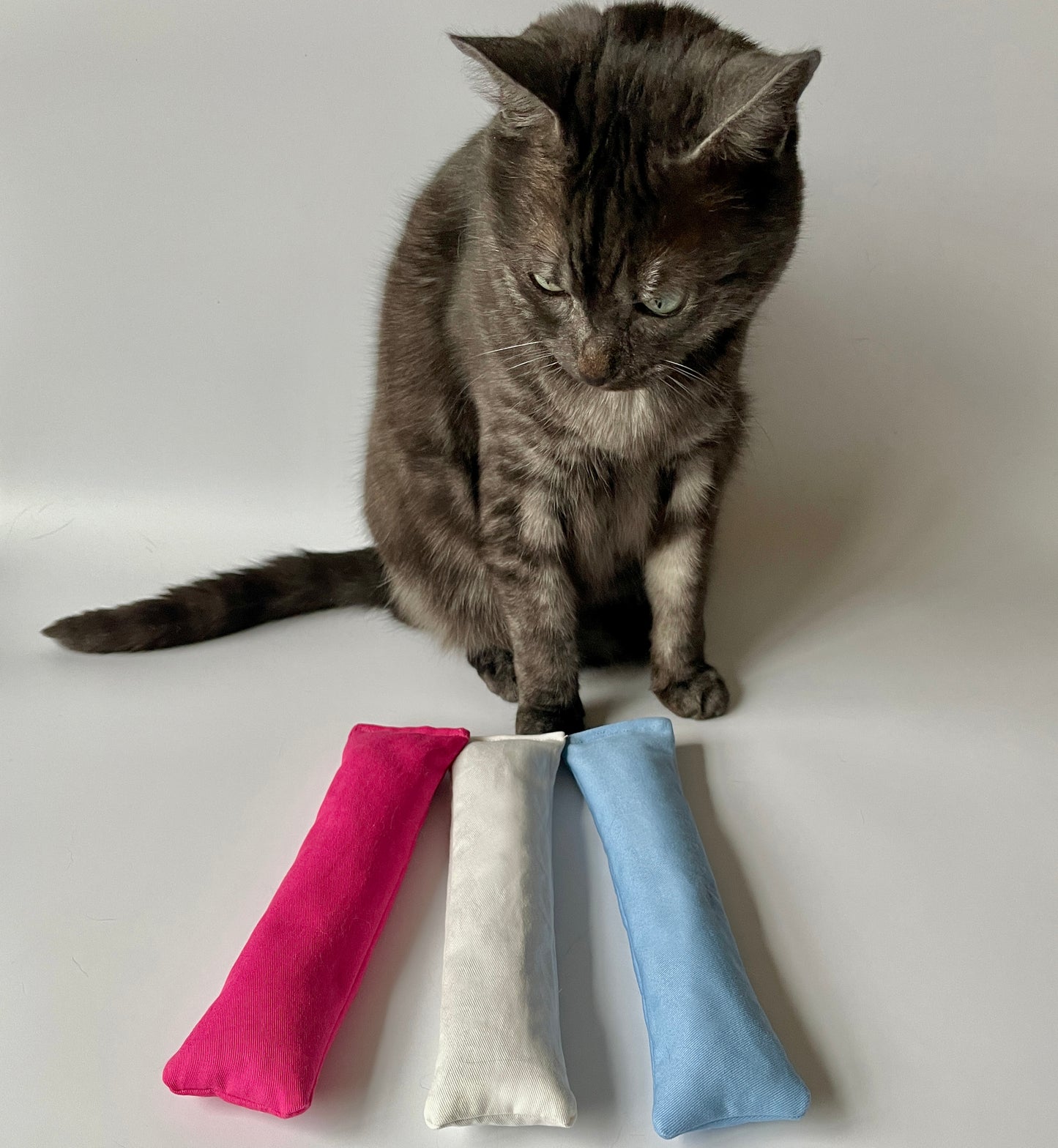 Cat Kicker Toy Set