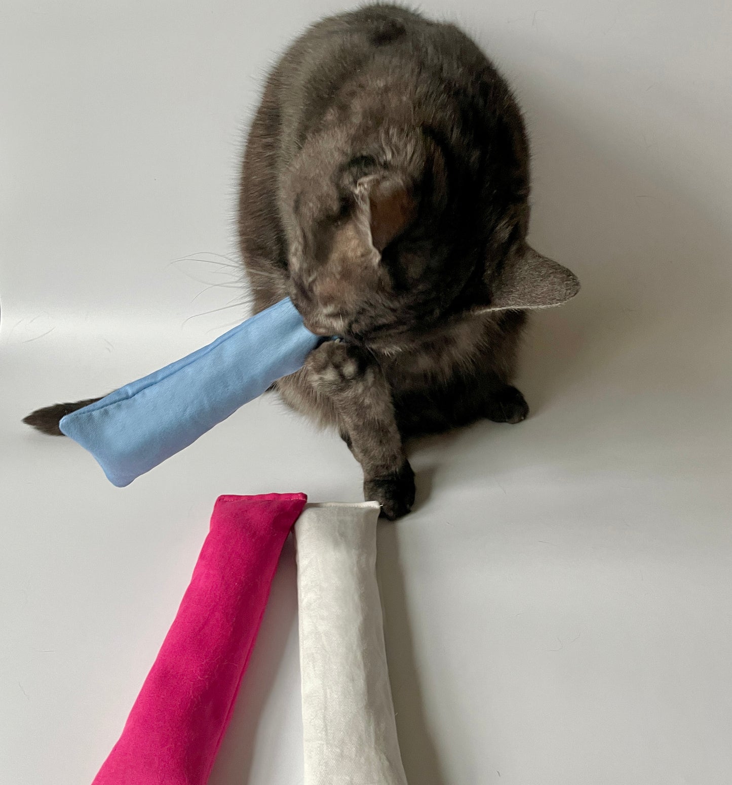 Cat playing with kicker toy
