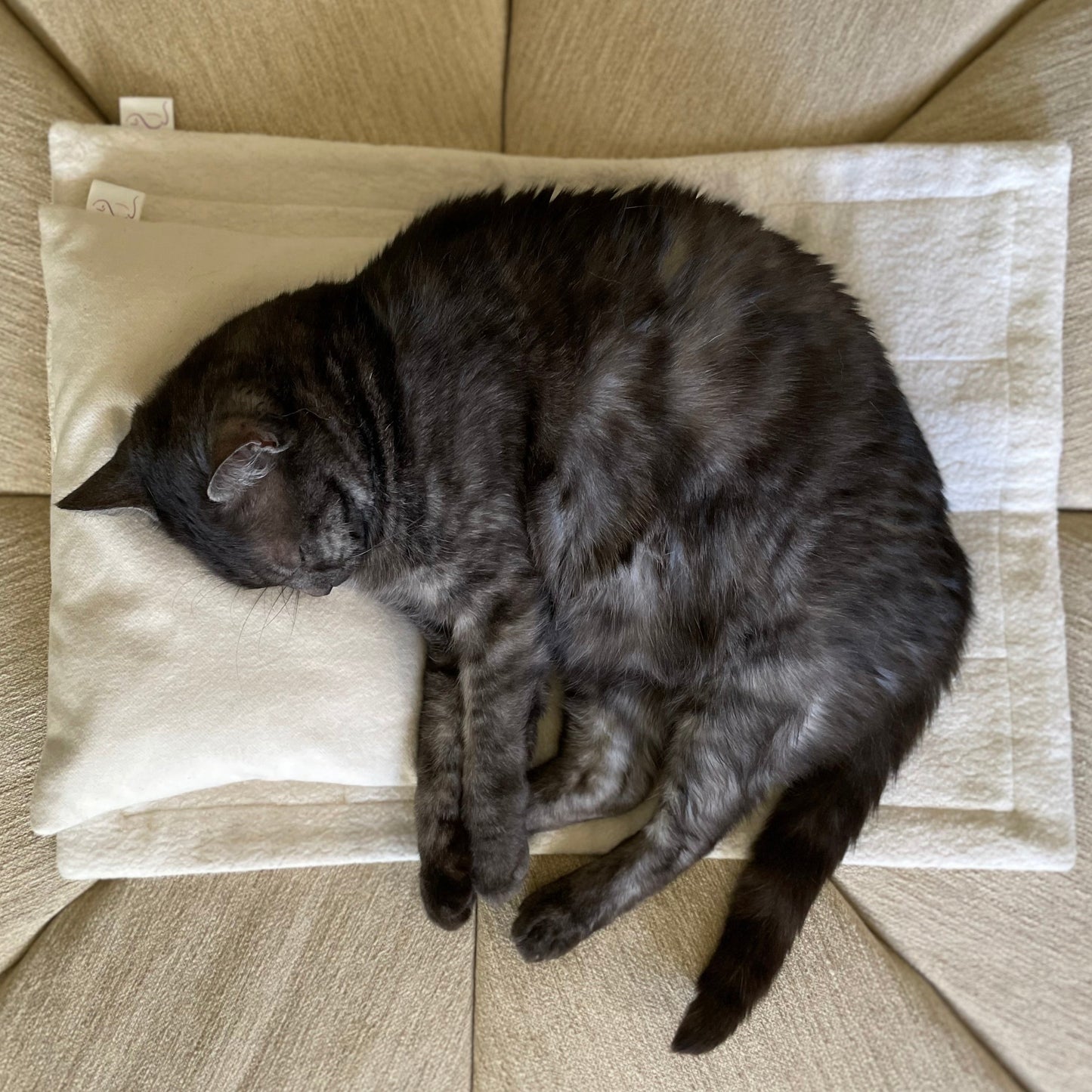Organic Cat Pad