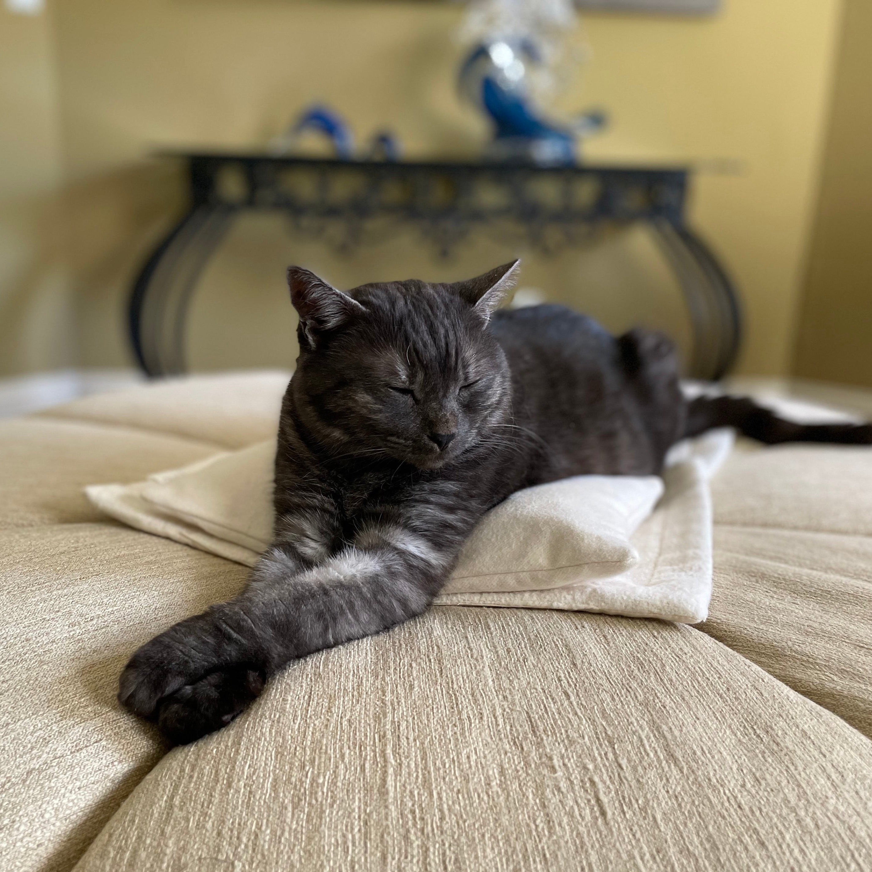 Organic Flannel Cat Head Pillow