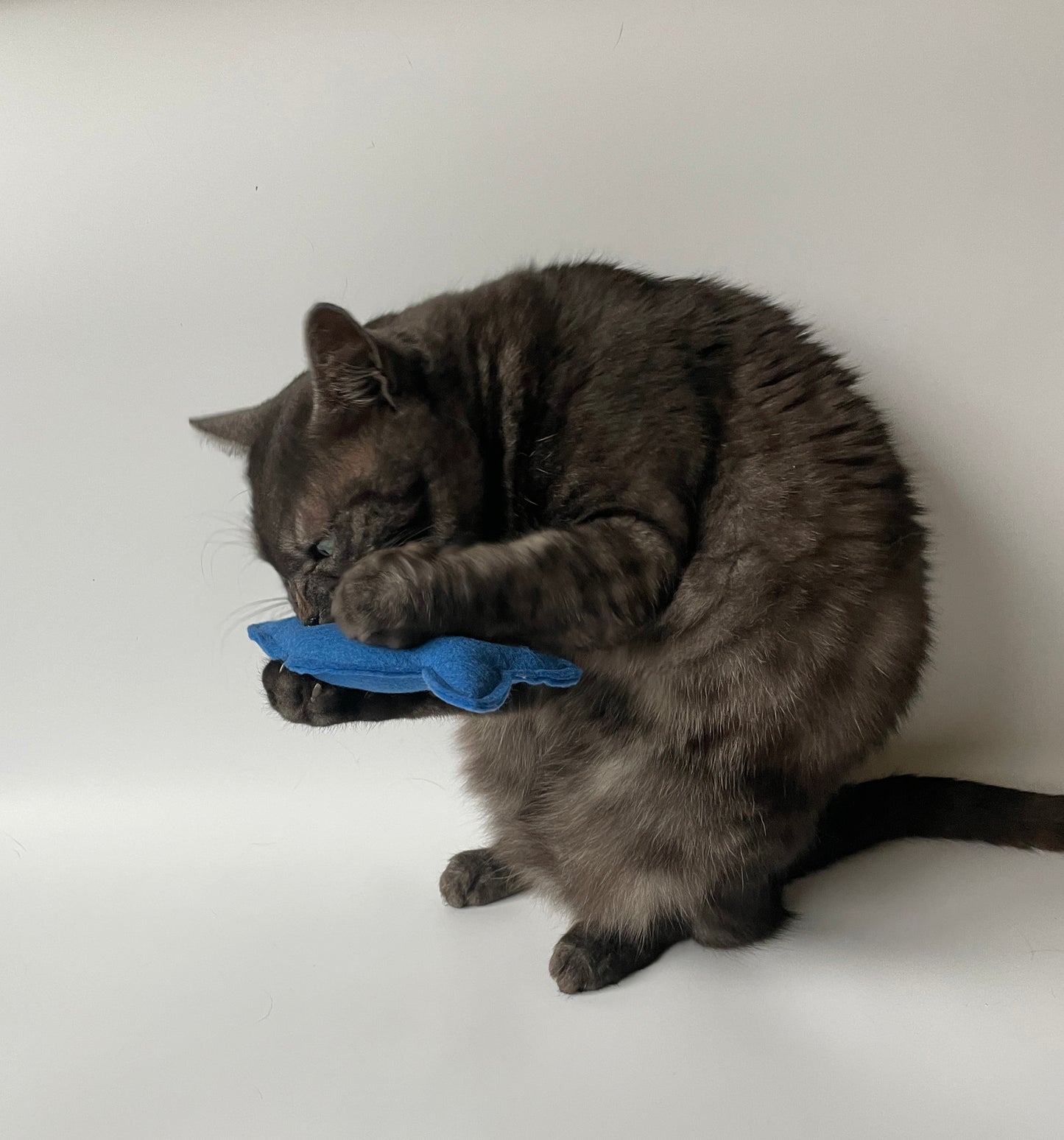 Cat biting cat fish toy